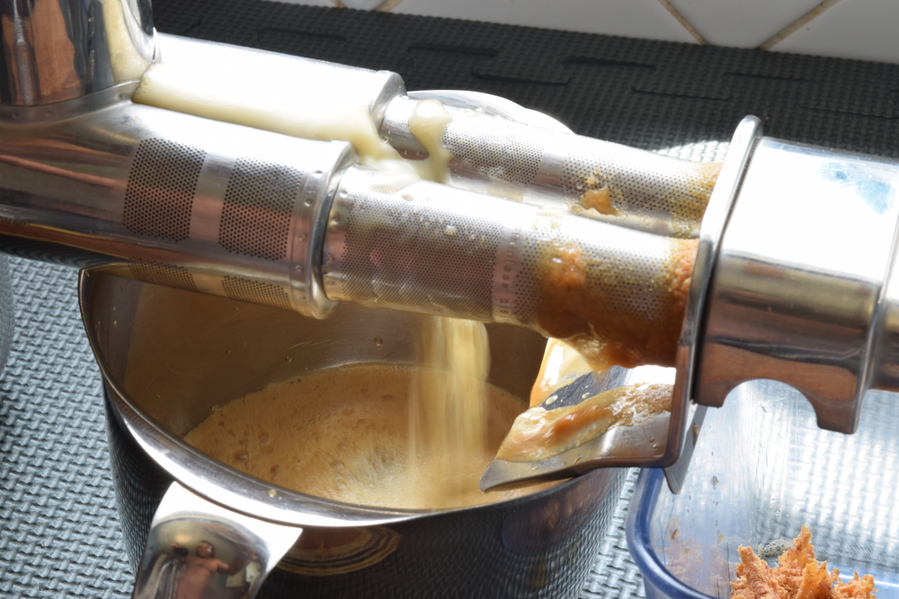 Juice Extraction Plant